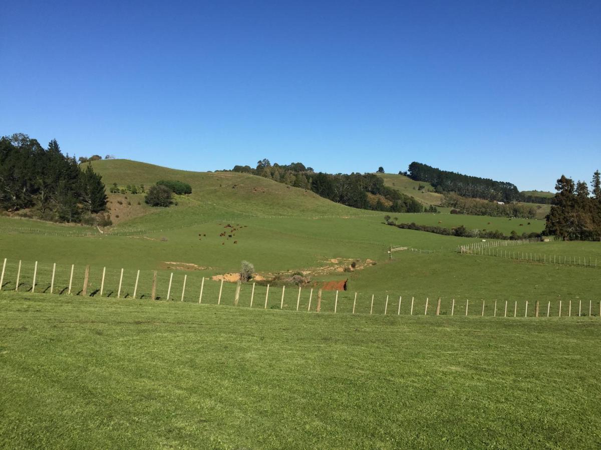 Veld View Bed And Breakfast Tuakau Kültér fotó