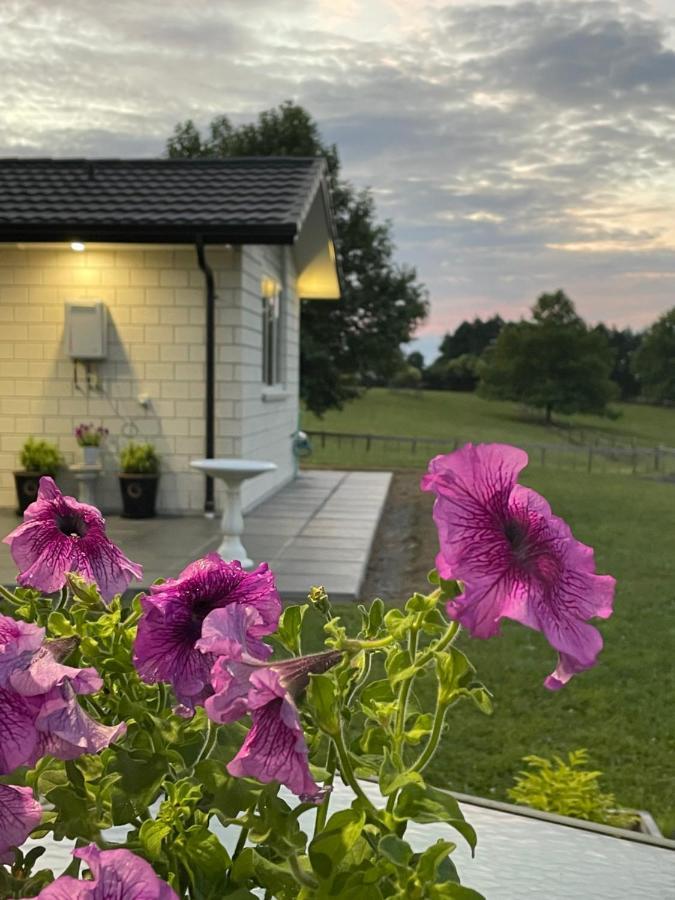 Veld View Bed And Breakfast Tuakau Kültér fotó