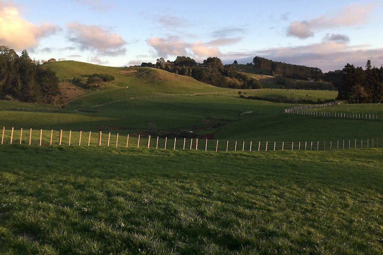 Veld View Bed And Breakfast Tuakau Kültér fotó